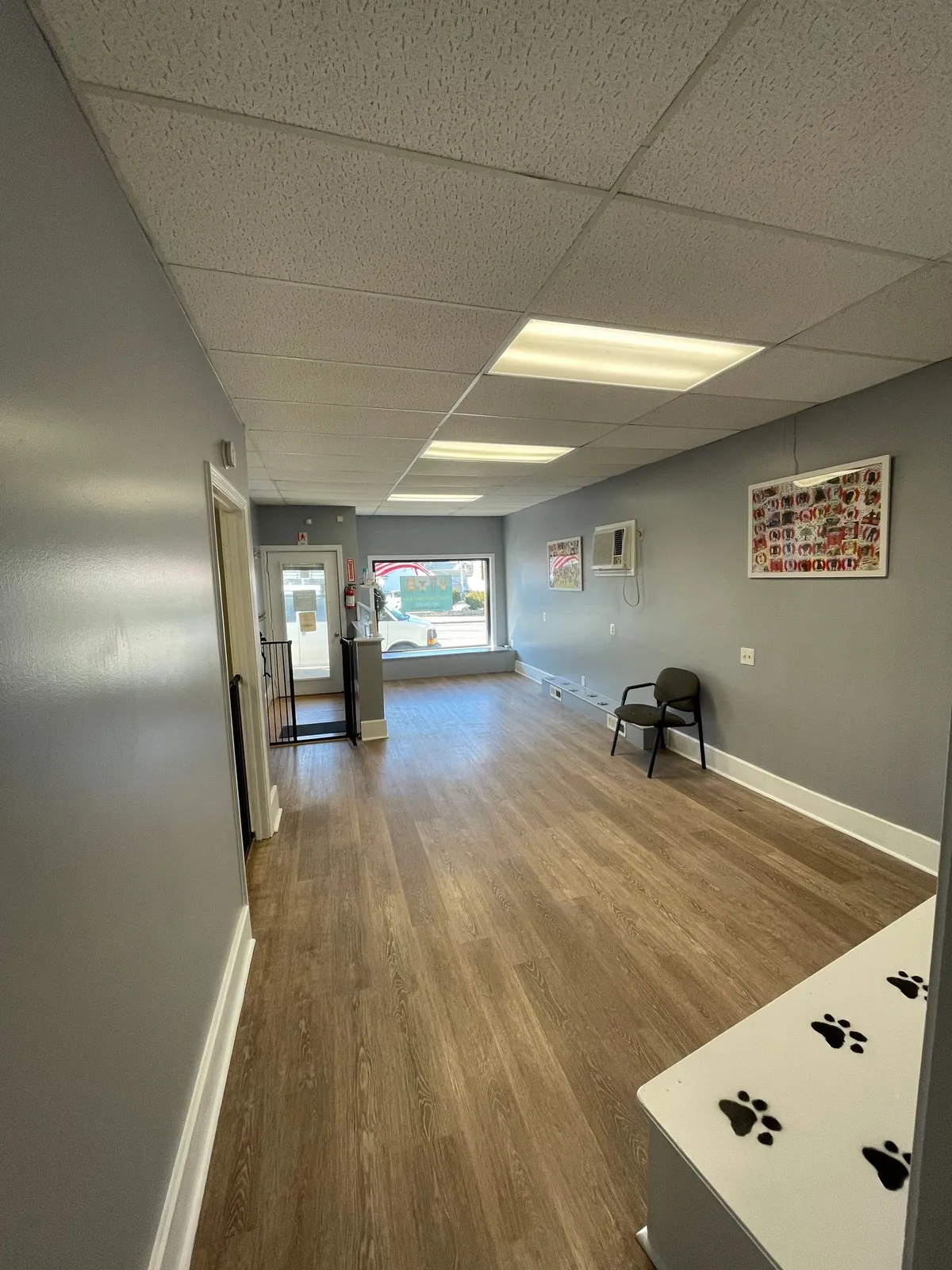 Interior hallway and waiting area at Salty Dog Daycare with dog-themed artwork on the walls